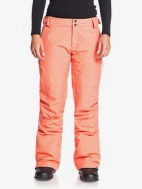 women's plus size stretch ski pants