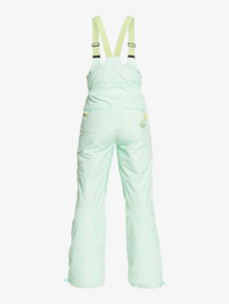 9 Summit Snow Bib Pants Blue ERJTP03199 Roxy