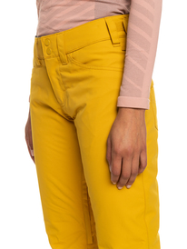 2 Backyard - Isolierte Schneehose für Frauen Gelb ERJTP03211 Roxy