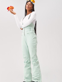 5 Summit - Pantalón de peto para nieve para Mujer Verde ERJTP03226 Roxy