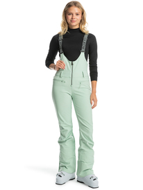 9 Summit - Pantalón de peto para nieve para Mujer Verde ERJTP03226 Roxy