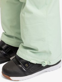 10 Passive Lines - Funktionelle Schneehose für Frauen Grün ERJTP03228 Roxy
