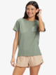 AGAVE GREEN (gzc0)
