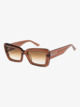 BROWN/BROWN GRADIENT (xccc)