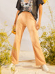 HAZELNUT (clp0)