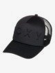 ANTHRACITE (kvj0)