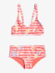 TEA ROSE HOLIDAY DREAMING S (mjz6)