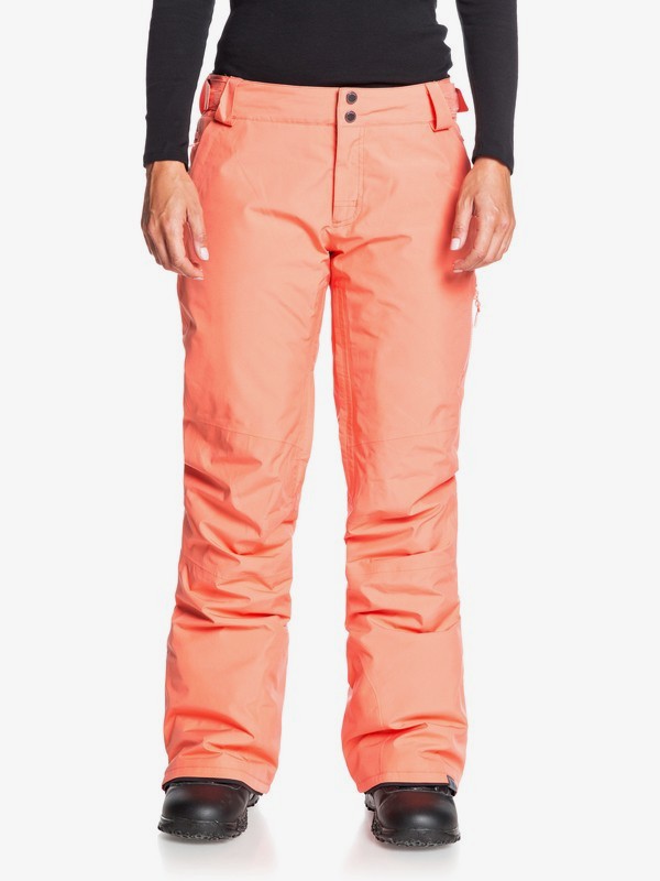 roxy gore tex pants