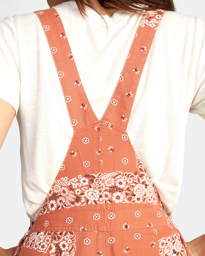 4 Succession Overalls Brown AVJNP00160 RVCA