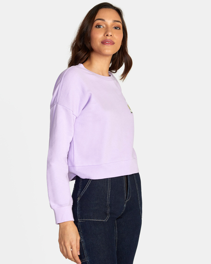 5 Mycelium Terry Pullover Purple AVJSF00214 RVCA