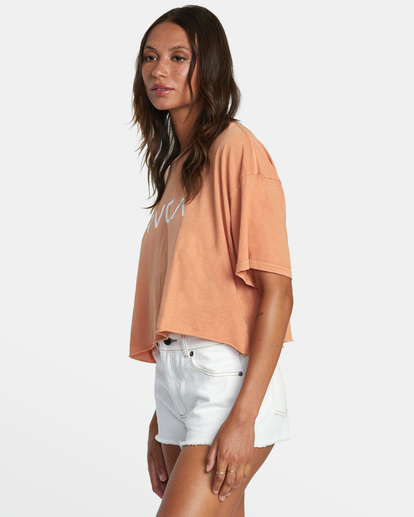 4 Big RVCA Short Sleeve Tee Brown AVJZT00381 RVCA