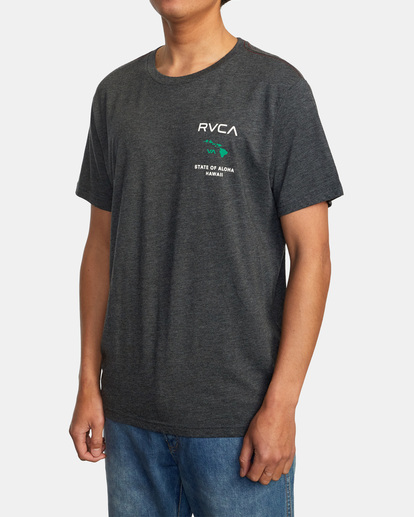 4 State Of Aloha Tee Black AVYZT00323 RVCA