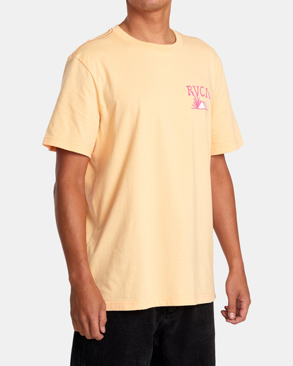 5 Desert Trail Tee  AVYZT01228 RVCA