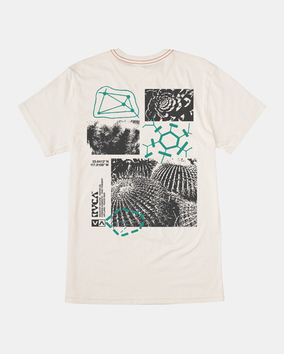 0 Ethnobotony Tee White AVYZT01620 RVCA