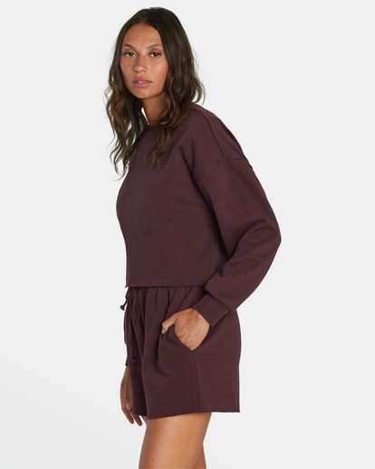 4 Sundays Test Drive 2022 - Sweatshirt for Women Brown F3CRRARVF2 RVCA