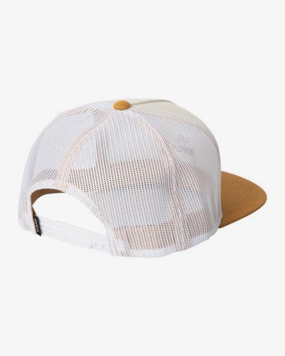 rvca hats on sale