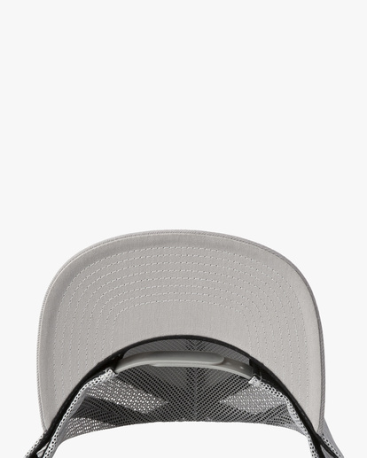 2 VA All The Way - Cap for Men Grey W5CPRYRVP1 RVCA