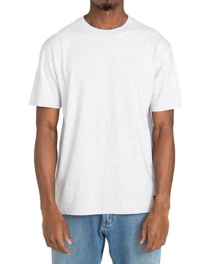 2 Recession - T-Shirt for Men Gray Z1SSRURVF1 RVCA