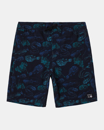 0 Boy's VA Elastic Waist Boardshorts 16" Brown AVBBS00141 RVCA