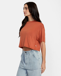 4 Hooky Tee Brown AVJKT00179 RVCA