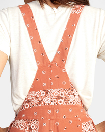 4 Succession Overalls Brown AVJNP00160 RVCA