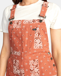 5 Succession Overalls Brown AVJNP00160 RVCA