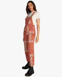 1 Succession Overalls Brown AVJNP00160 RVCA