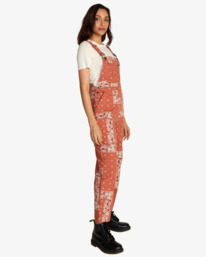 2 Succession Overalls Brown AVJNP00160 RVCA