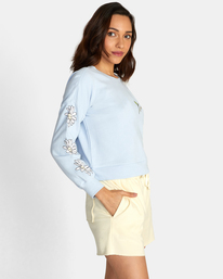 5 Better Dayz Terry Pullover Blue AVJSF00210 RVCA