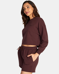 4 Test Drive Cropped Sweatshirt Brown AVJTO00134 RVCA