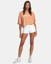 3 Big RVCA Short Sleeve Tee Brown AVJZT00381 RVCA