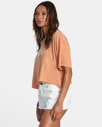 4 Big RVCA Short Sleeve Tee Brown AVJZT00381 RVCA