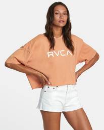5 Big RVCA Short Sleeve Tee Brown AVJZT00381 RVCA