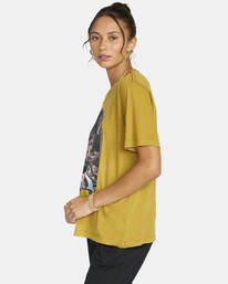 4 Moonscape Graphic Tee Brown AVJZT00583 RVCA