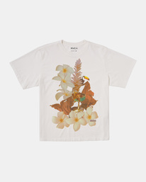 Catalog - T-Shirt for Women  AVJZT00750