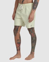 4 Opposites Elastic Waist 2 Boardshorts 17" Green AVYBS00162 RVCA