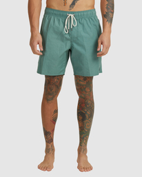1 Opposites Elastic Waist 2 Boardshorts 17" Green AVYBS00162 RVCA