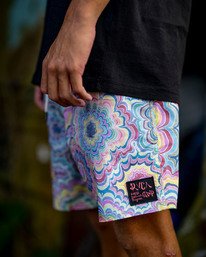 Mens Artist Network Program Collection 