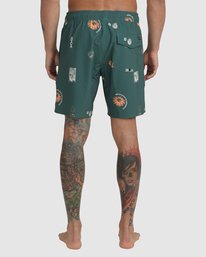 2 VA Pigment Elastic Waist Boardshorts 17" Green AVYBS00204 RVCA