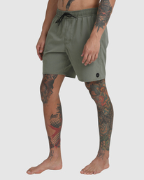 4 VA Pigment Elastic Waist Boardshorts 17" Green AVYBS00207 RVCA