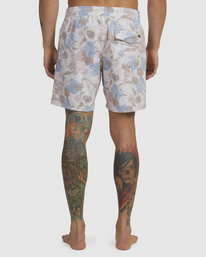 2 Barnes Elastic Boardshorts 17" Grey AVYBS00265 RVCA