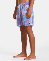 4 Colin Sussingham Elastic - Swim Shorts for Men Purple AVYBS00295 RVCA