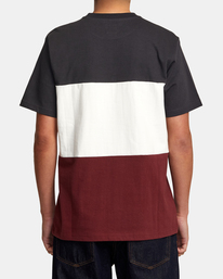 2 Compilation - T-Shirt für Männer Grau AVYKT00274 RVCA