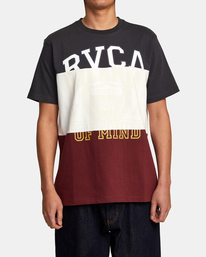 1 Compilation - T-Shirt für Männer Grau AVYKT00274 RVCA