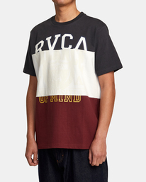 4 Compilation - T-Shirt für Männer Grau AVYKT00274 RVCA