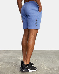4 Sport Elastic Waist Walkshorts IV 19" Purple AVYWS00135 RVCA