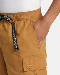 3 Civic Utility 18" Elastic Shorts Brown AVYWS00269 RVCA
