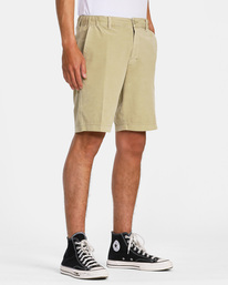 4 All Time Coastal Rinsed - Hybridshorts für Männer Beige AVYWS00285 RVCA