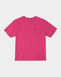 0 Solo Label Pigment Dye Tee  AVYZT00301 RVCA