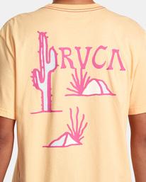 6 Desert Trail Tee  AVYZT01228 RVCA